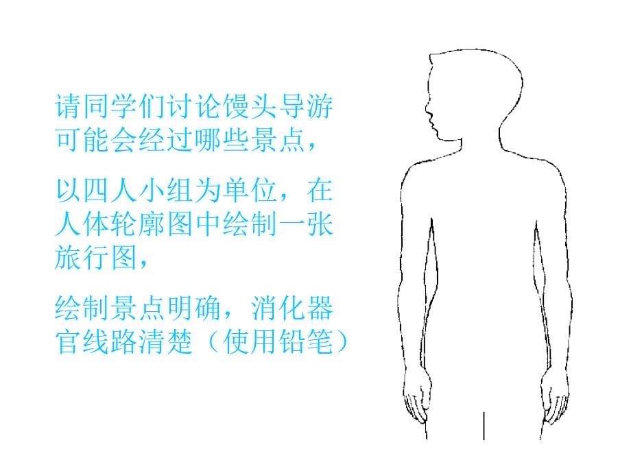 六年级上册科学课件2.1消化与吸收湘教版共22张PPT_第5页