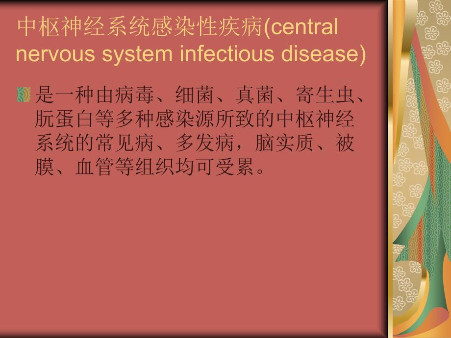 儿科常见中枢神经系统感染性疾病_第2页