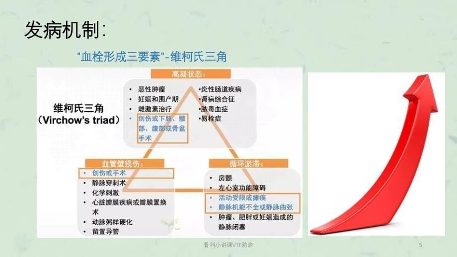 骨科小讲课VTE防治课件_第5页