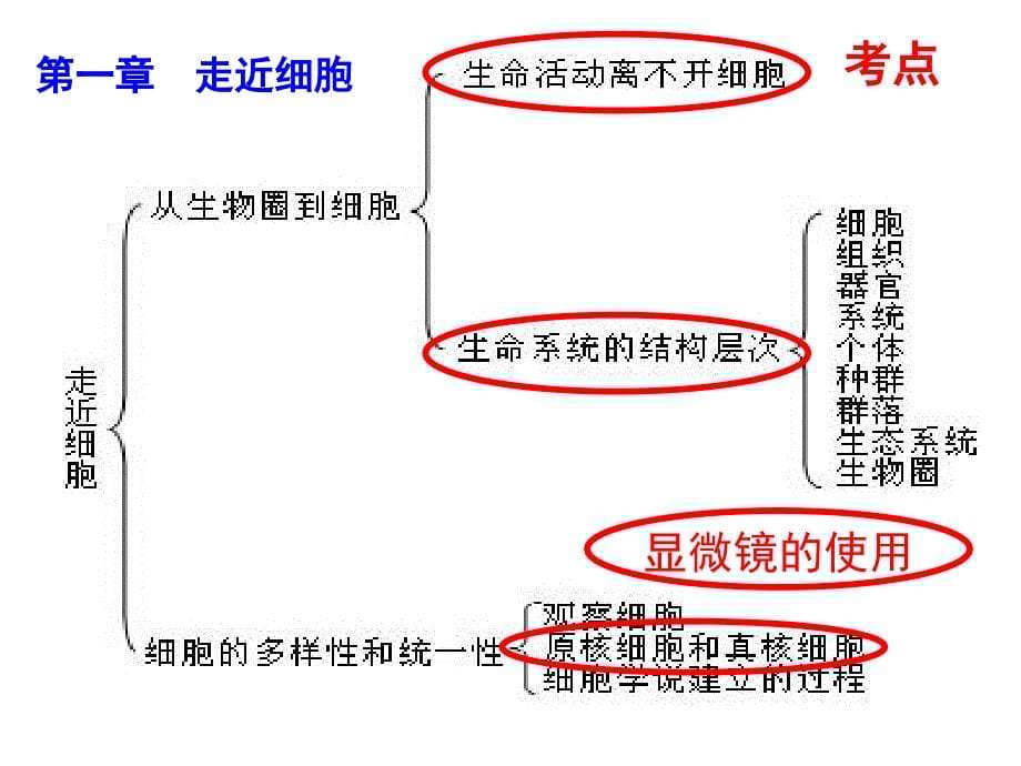 走近细胞一轮复习_第5页