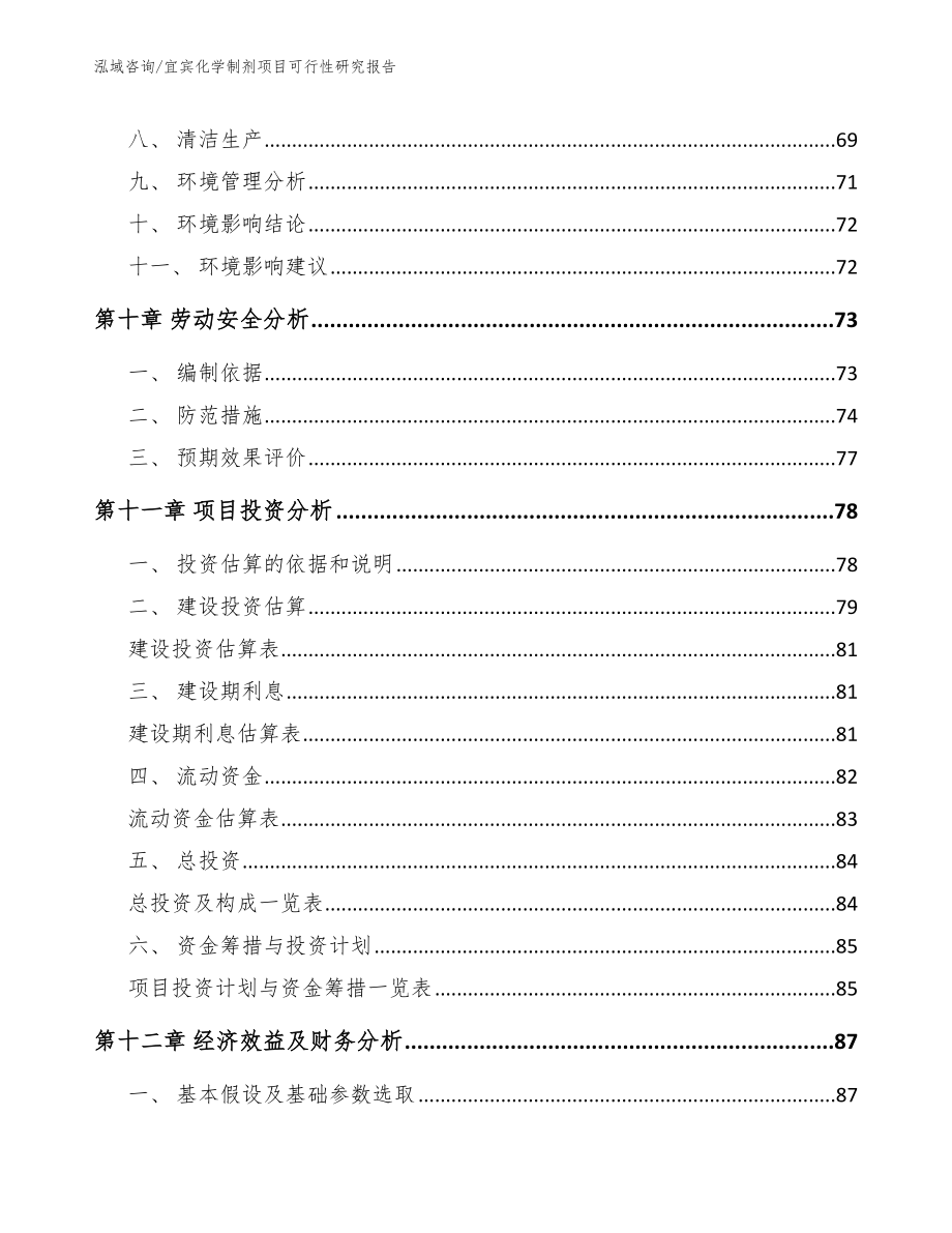 宜宾化学制剂项目可行性研究报告_第5页