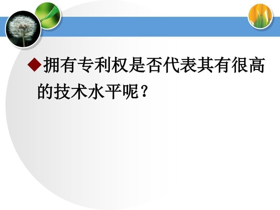 从私权看专利的价值课件_第5页