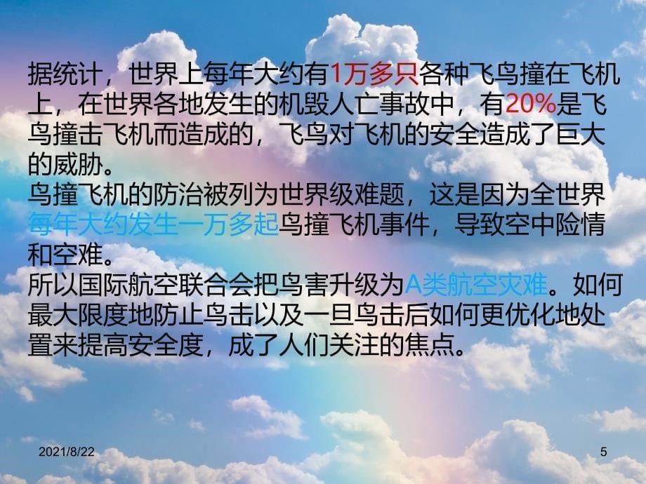 飞机为什么怕鸟推荐课件_第5页