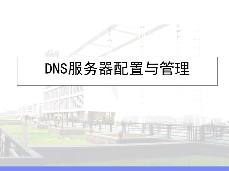 服务器配置Win2003DNS服务器配置与管理_第1页