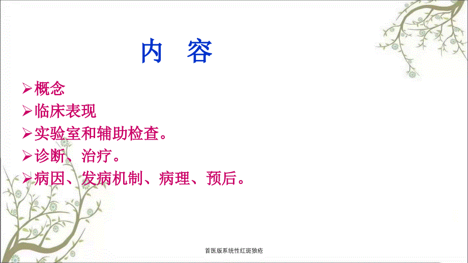 首医版系统性红斑狼疮_第2页