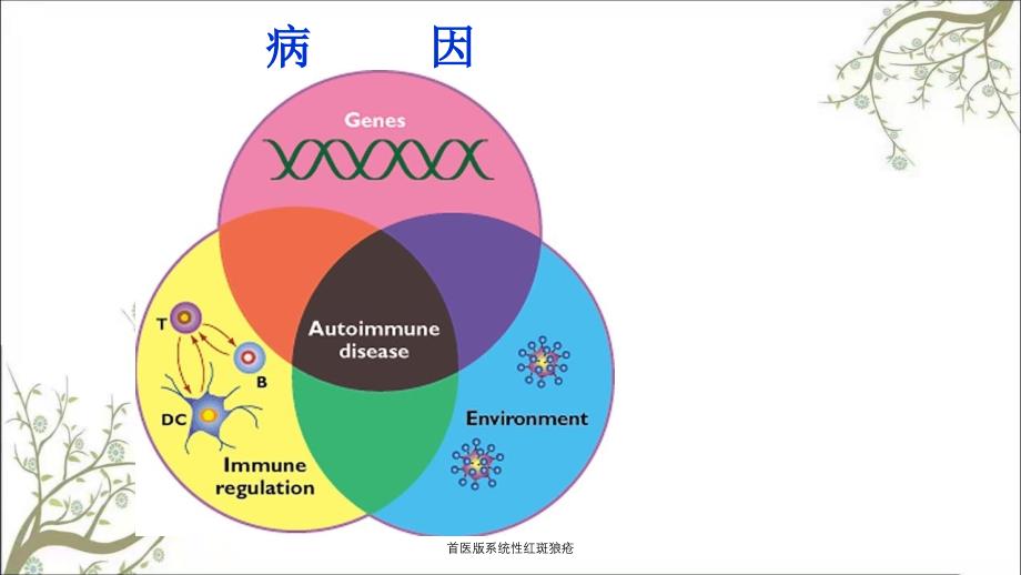 首医版系统性红斑狼疮_第4页