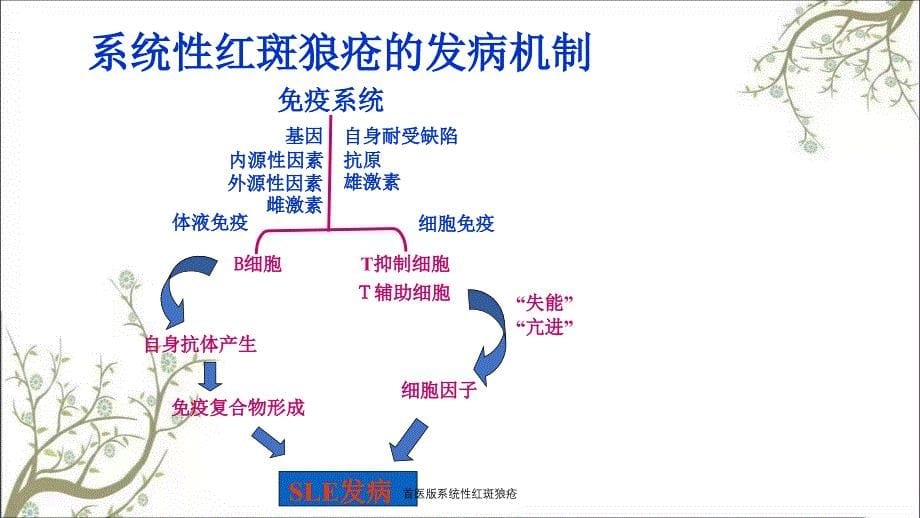 首医版系统性红斑狼疮_第5页