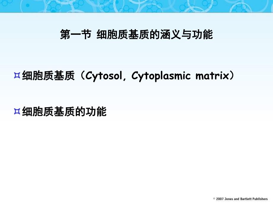 细胞质基质与内膜系统_第4页