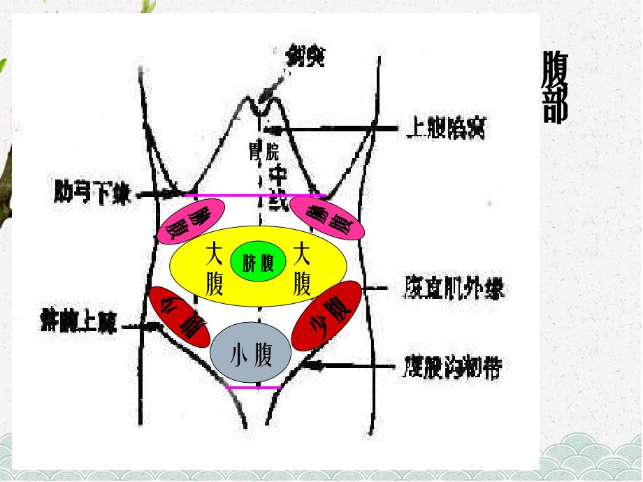 腹痛教学内容_第3页