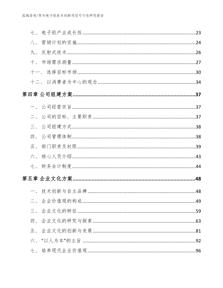 贺州电子纸技术创新项目可行性研究报告【参考范文】_第2页