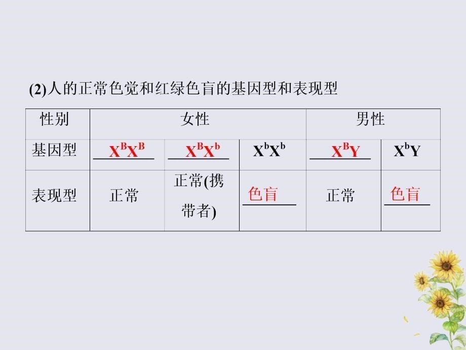 20222023高中生物第2章基因和染色体的关系第3节伴性遗传课件新人教版必修_第5页