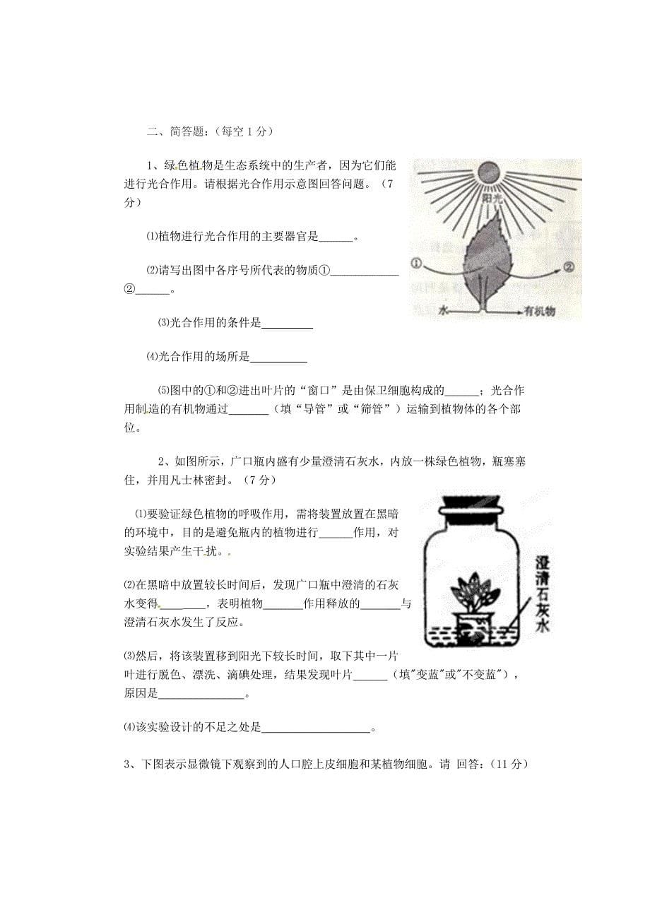 山东省宁津县七年级生物上学期期中试题无答案_第5页