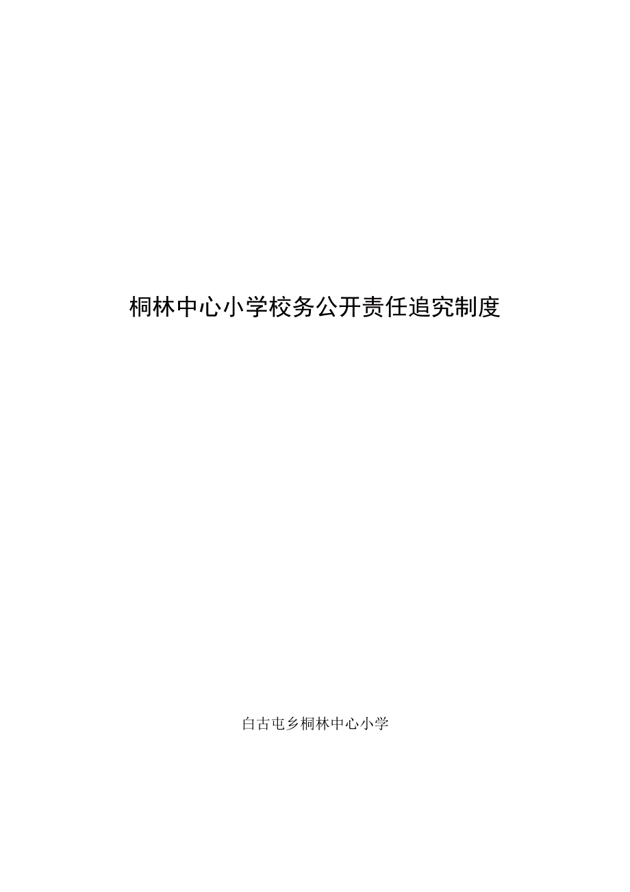 桐林小学校务公开责任追究制度.doc_第1页