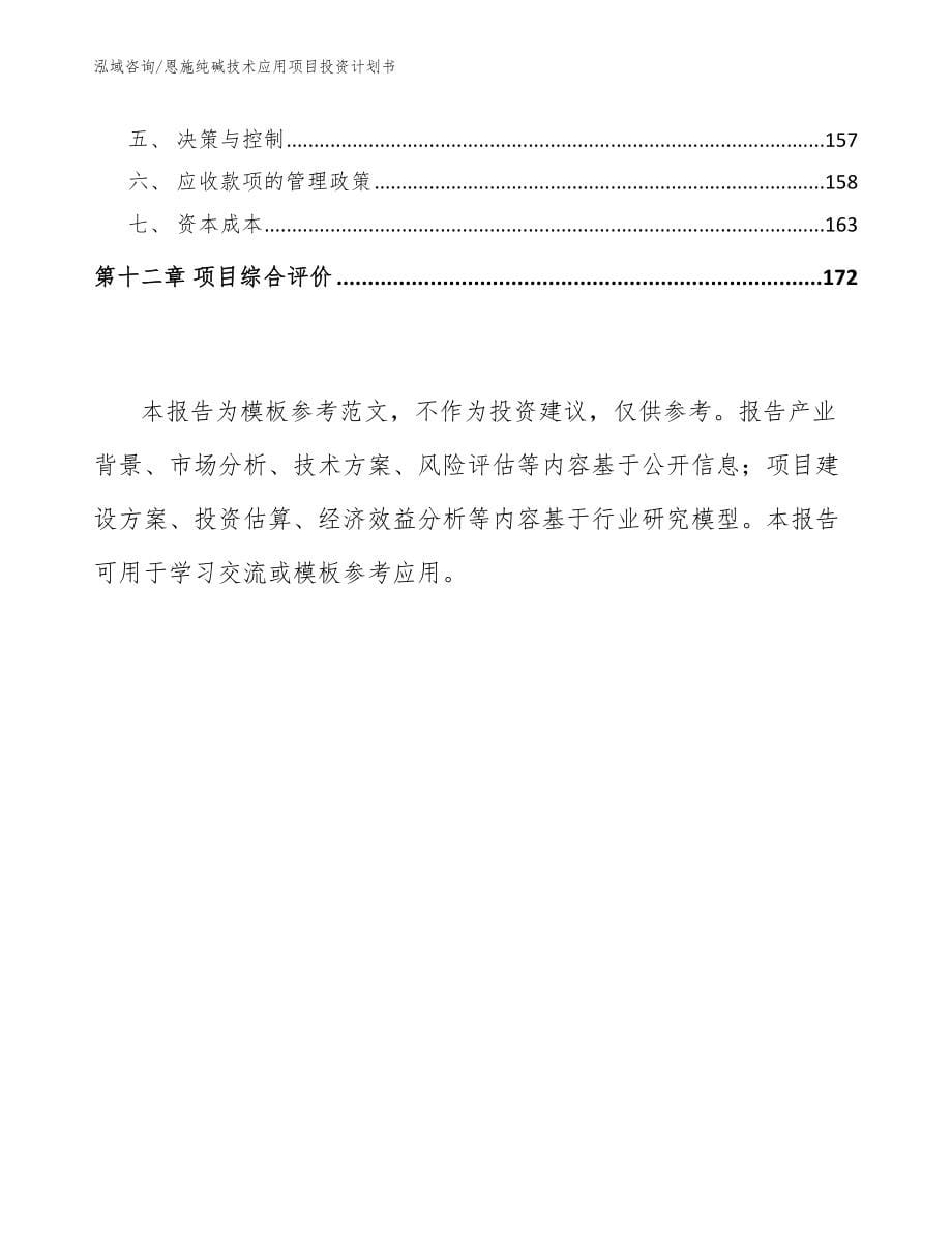 恩施纯碱技术应用项目投资计划书_第5页