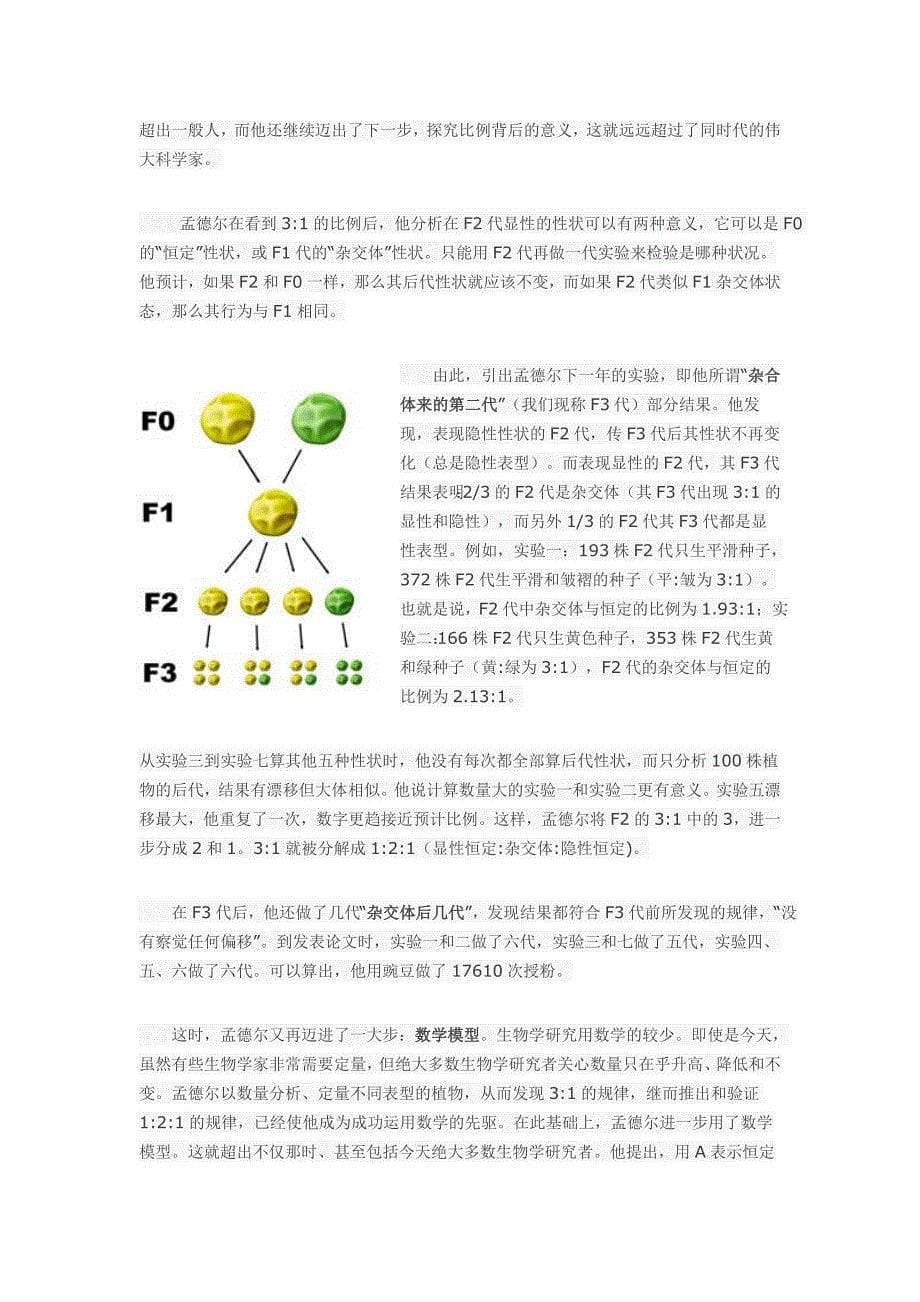 孟德尔：孤独的天才(上)_第5页