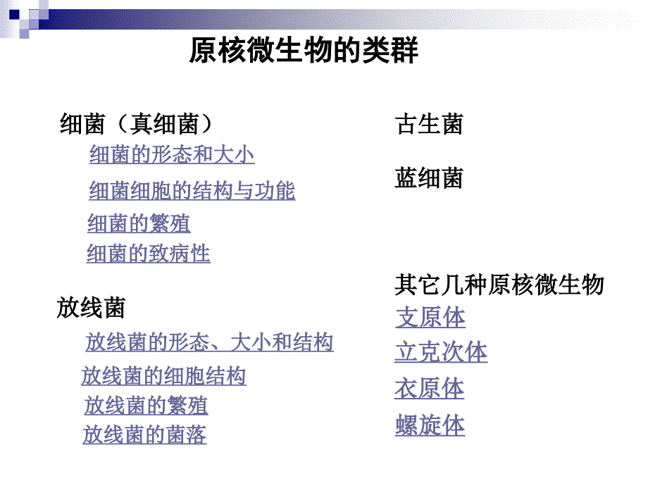 微生物学与免疫学：2-原核微生物_第3页