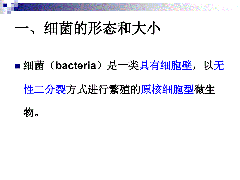 微生物学与免疫学：2-原核微生物_第4页