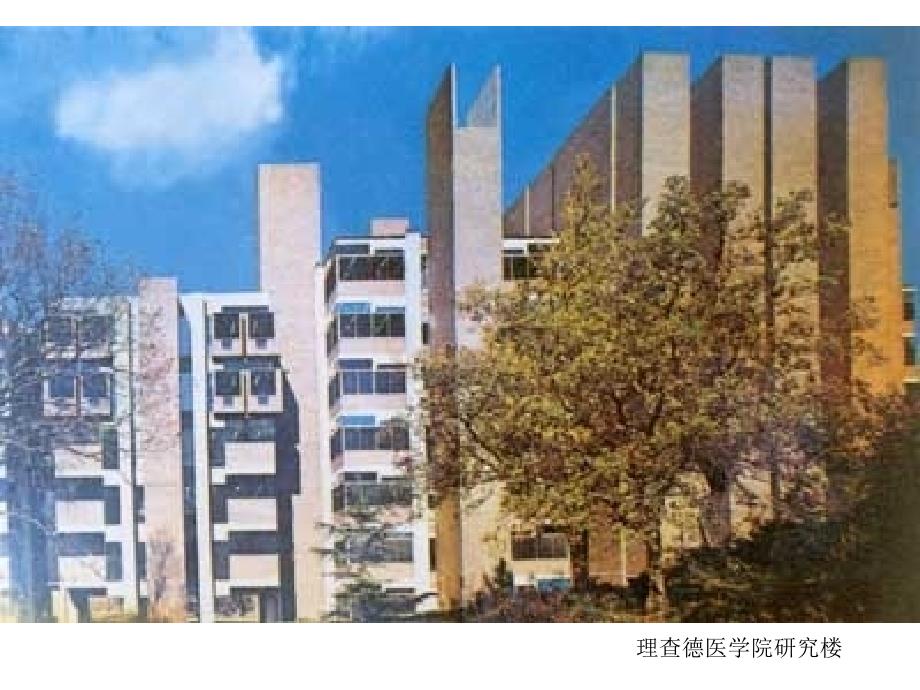 建筑形态构成解析_第1页