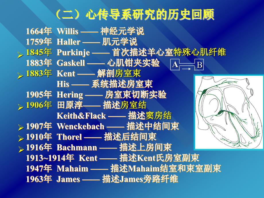 心脏传导系统剖析课件_第3页