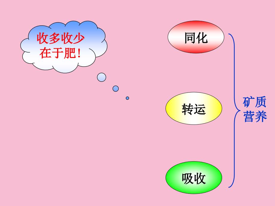 植物生理学ppt课件_第2页