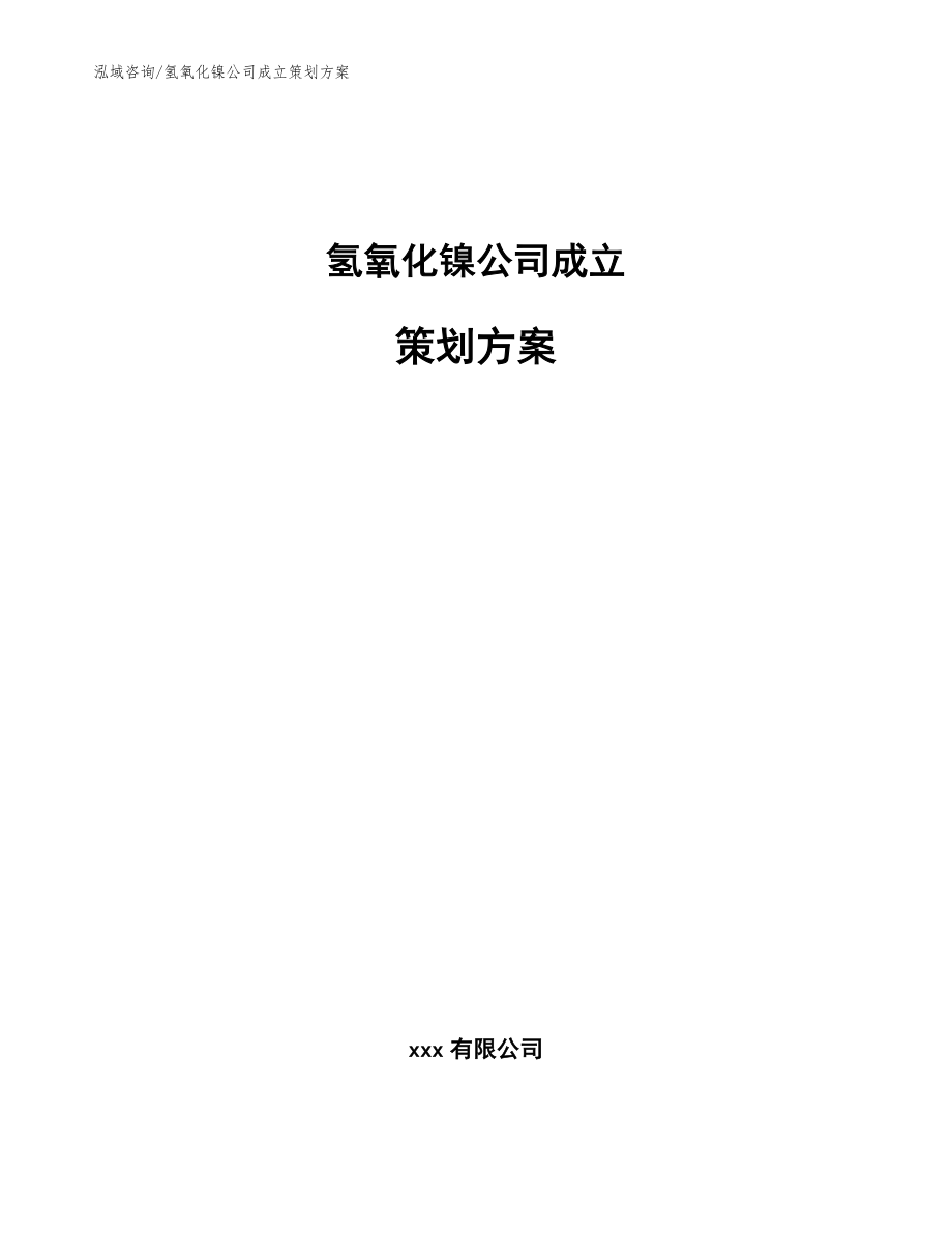 氢氧化镍公司成立策划方案（范文模板）_第1页