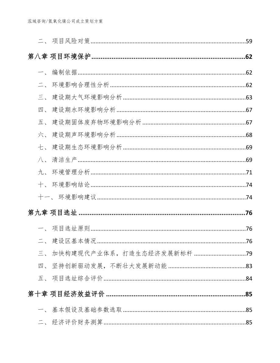 氢氧化镍公司成立策划方案（范文模板）_第5页