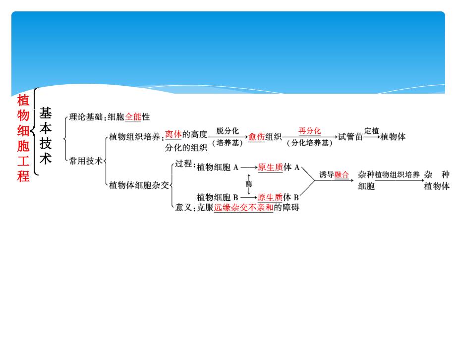 三维设计高中生物选修第二讲细胞工程克隆技术一植物细胞工程徐州生物杜老师_第4页