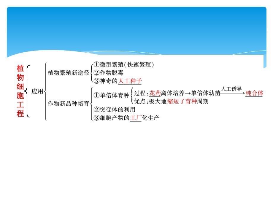 三维设计高中生物选修第二讲细胞工程克隆技术一植物细胞工程徐州生物杜老师_第5页