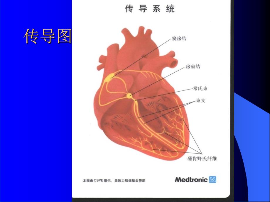 最新循环系统疾病心律失常1xPPT课件_第2页