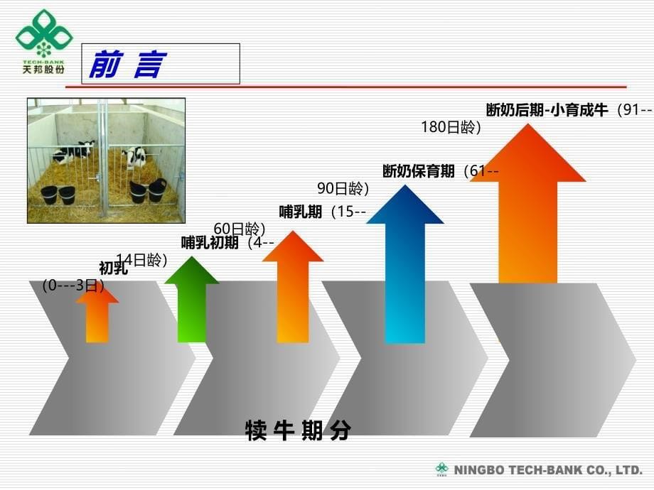 《犊牛的饲养管理》PPT课件_第5页