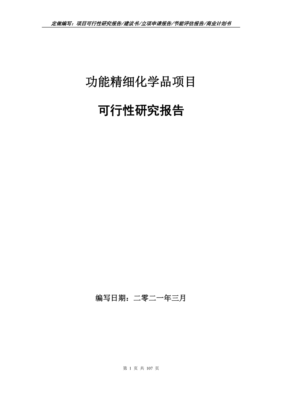 功能精细化学品项目可行性研究报告写作范本_第1页