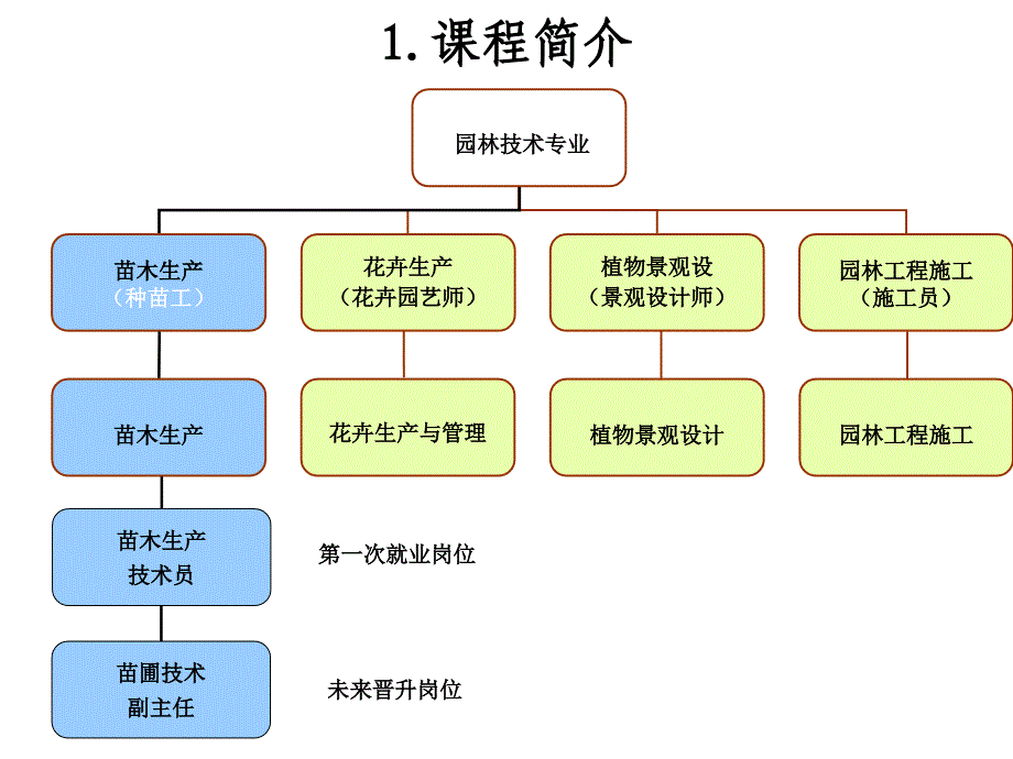 园林苗木生产整体设计课件_第4页