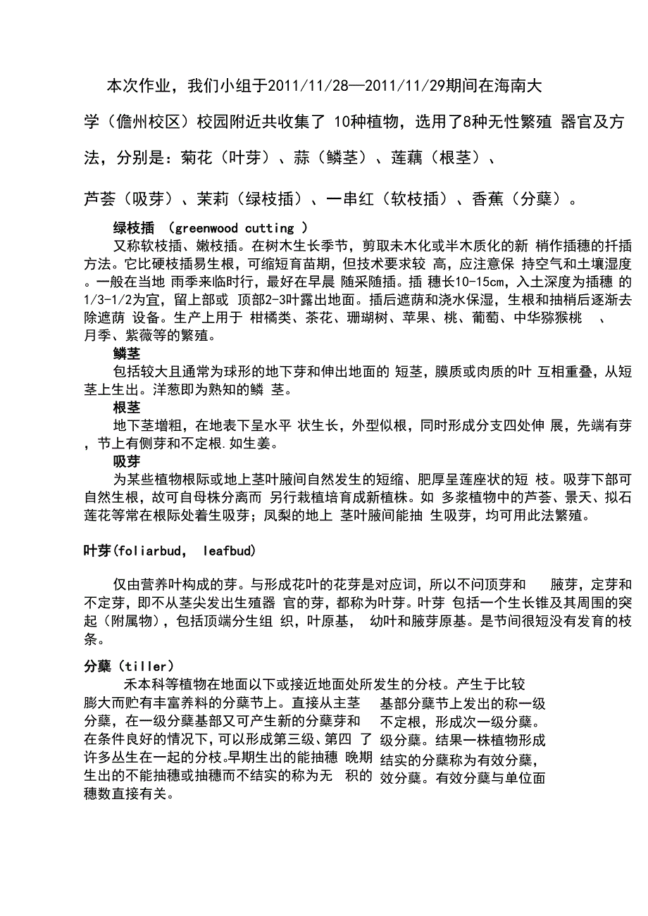 无性繁殖的营养器官_第2页