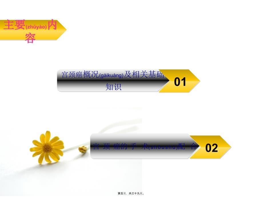 腹腔镜下子宫全切清扫手术配合优秀课件_第5页