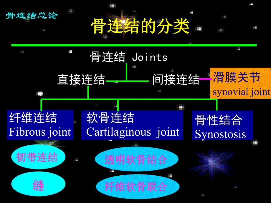 系统解剖学资料3系解之关节学_第3页