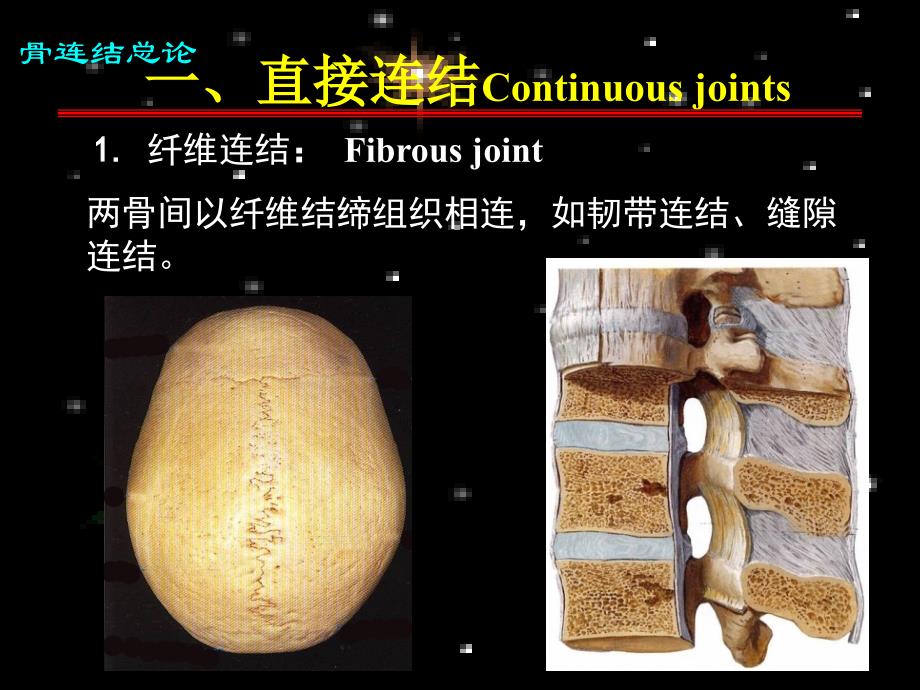 系统解剖学资料3系解之关节学_第4页