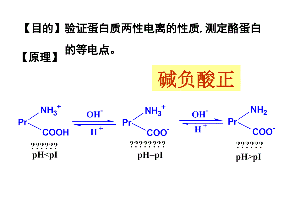 实验1蛋白质的两性电离和等电点_第2页