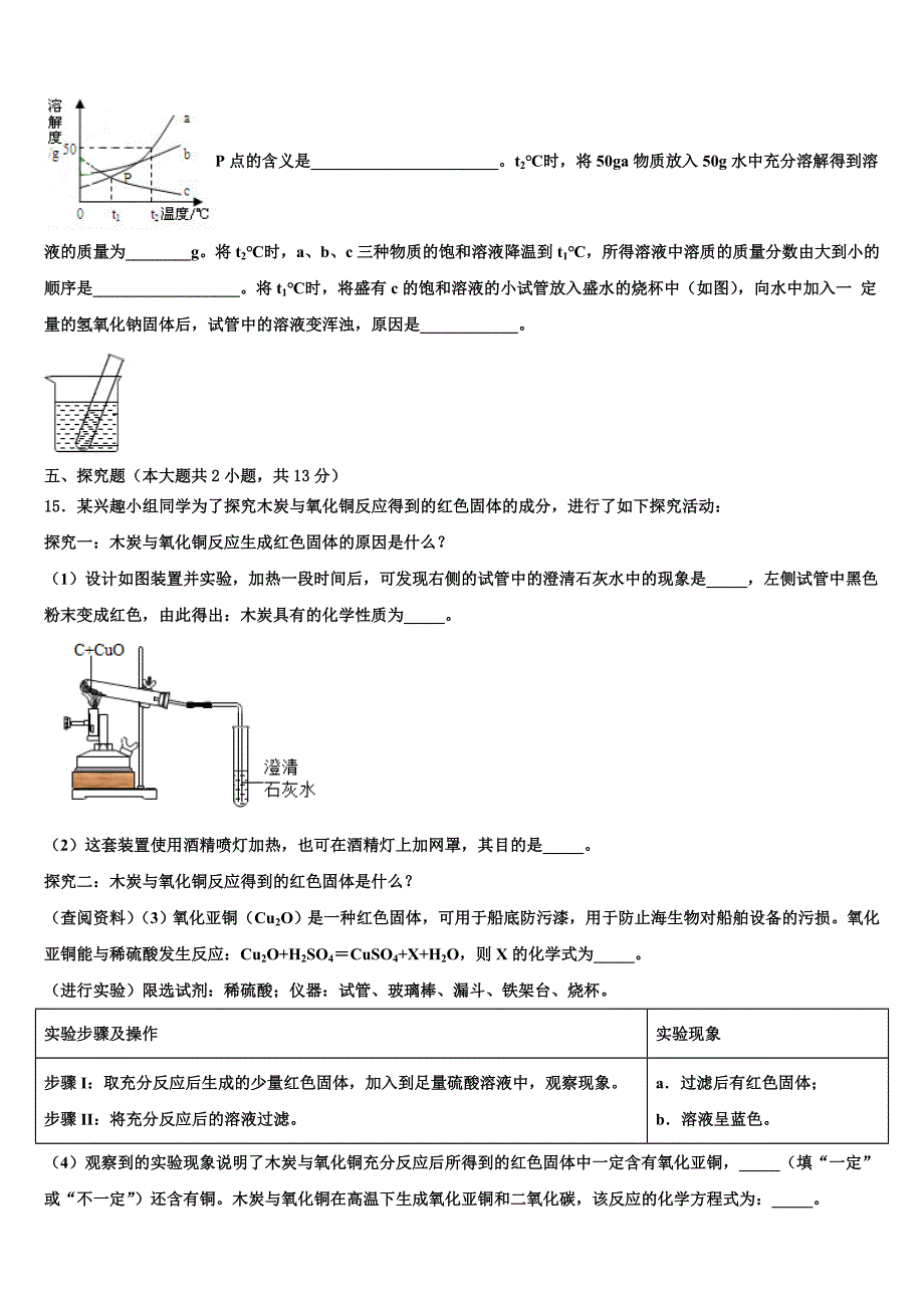 江苏省兴化市戴泽初中2023届中考试题猜想化学试卷含解析.doc_第5页