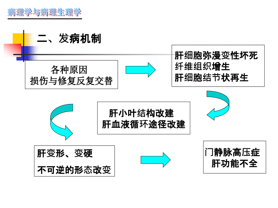 肝硬化PPT课件_第3页