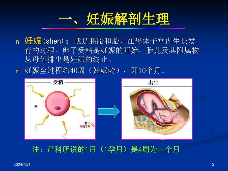 产科正常超声检查与诊断课件_第2页