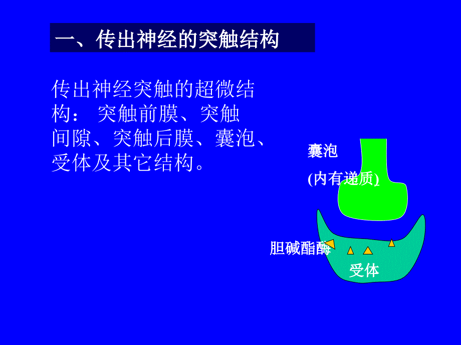 最新：5传出神经系统药物精选文档文档资料_第3页