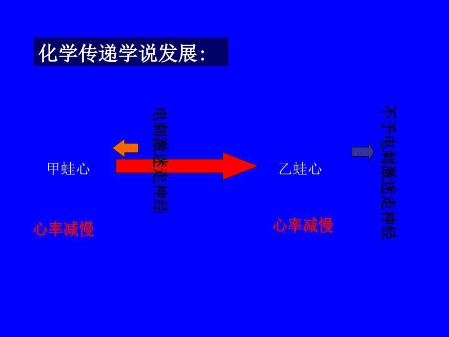 最新：5传出神经系统药物精选文档文档资料_第5页