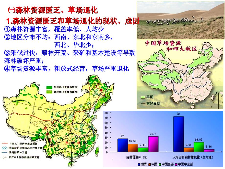 主要的生态环境问题课堂PPT_第4页