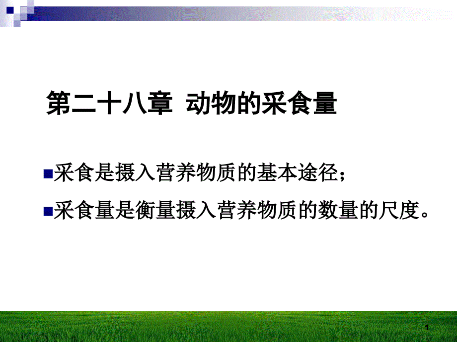 动物的采食量ppt课件_第1页