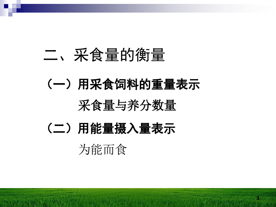 动物的采食量ppt课件_第3页