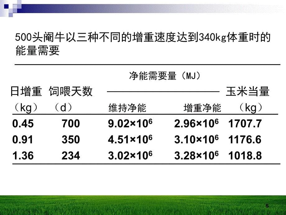 动物的采食量ppt课件_第5页