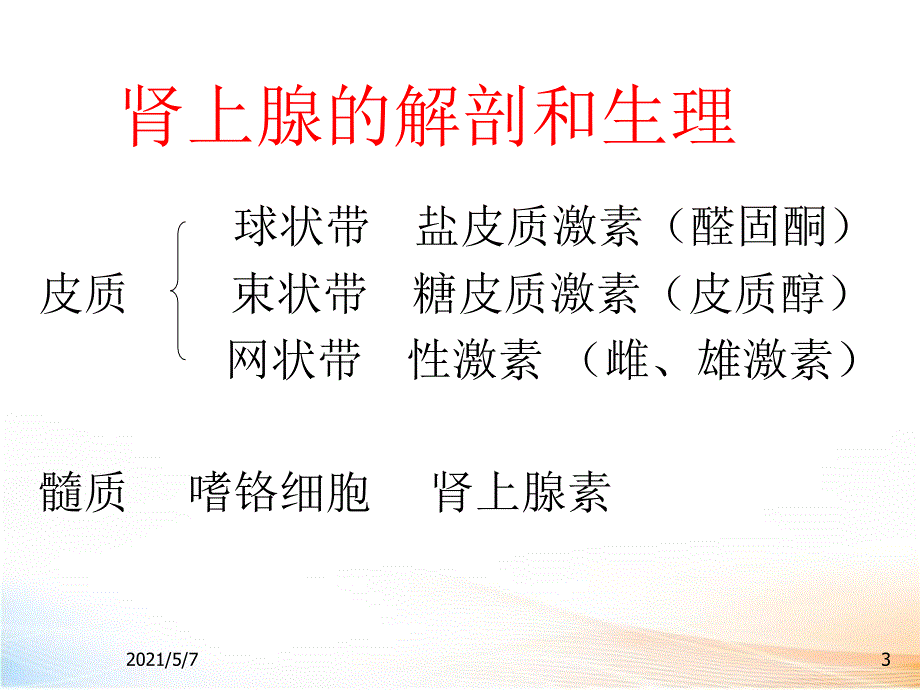 肾上腺的影像学检查（63页）2_第3页