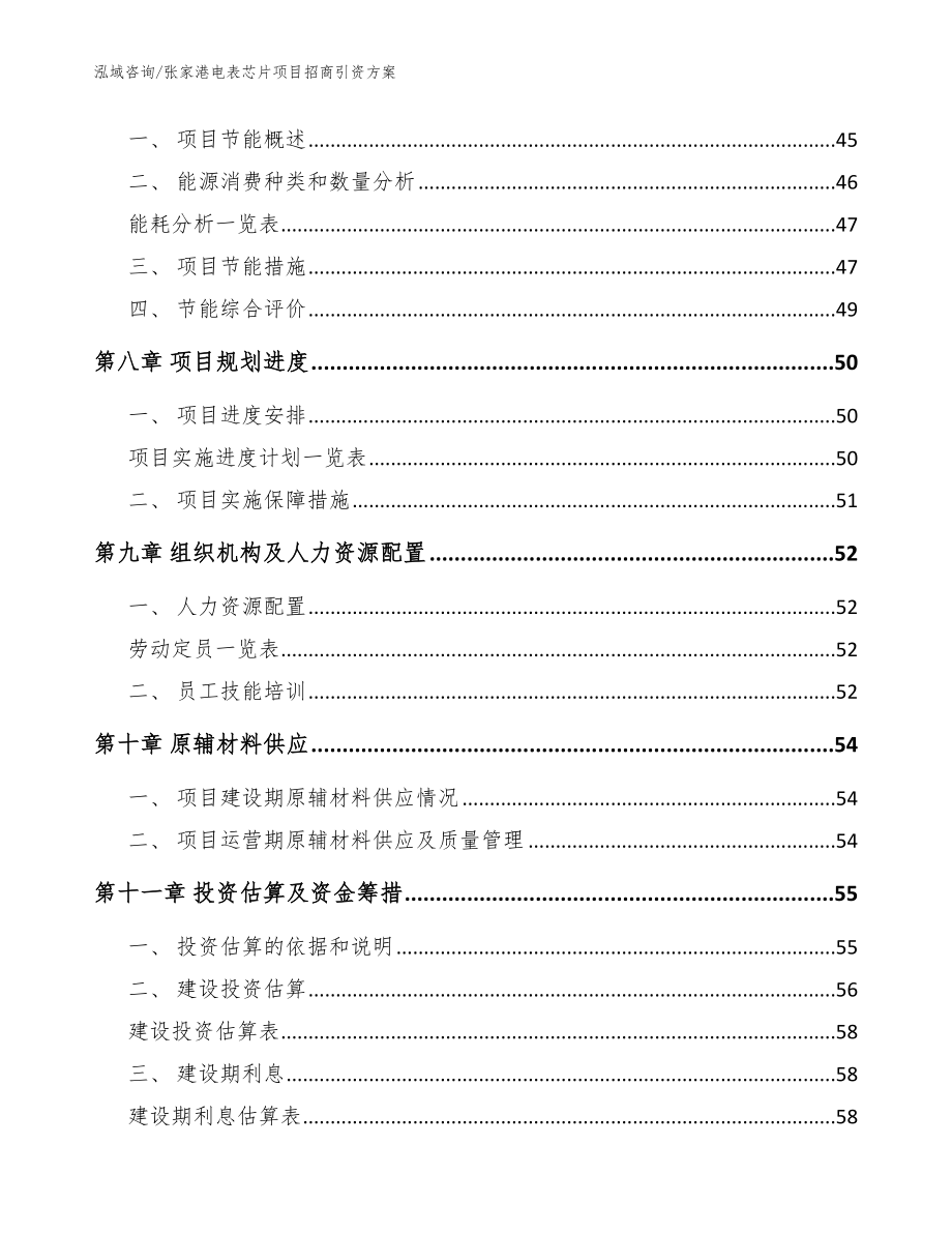 张家港电表芯片项目招商引资方案_第5页