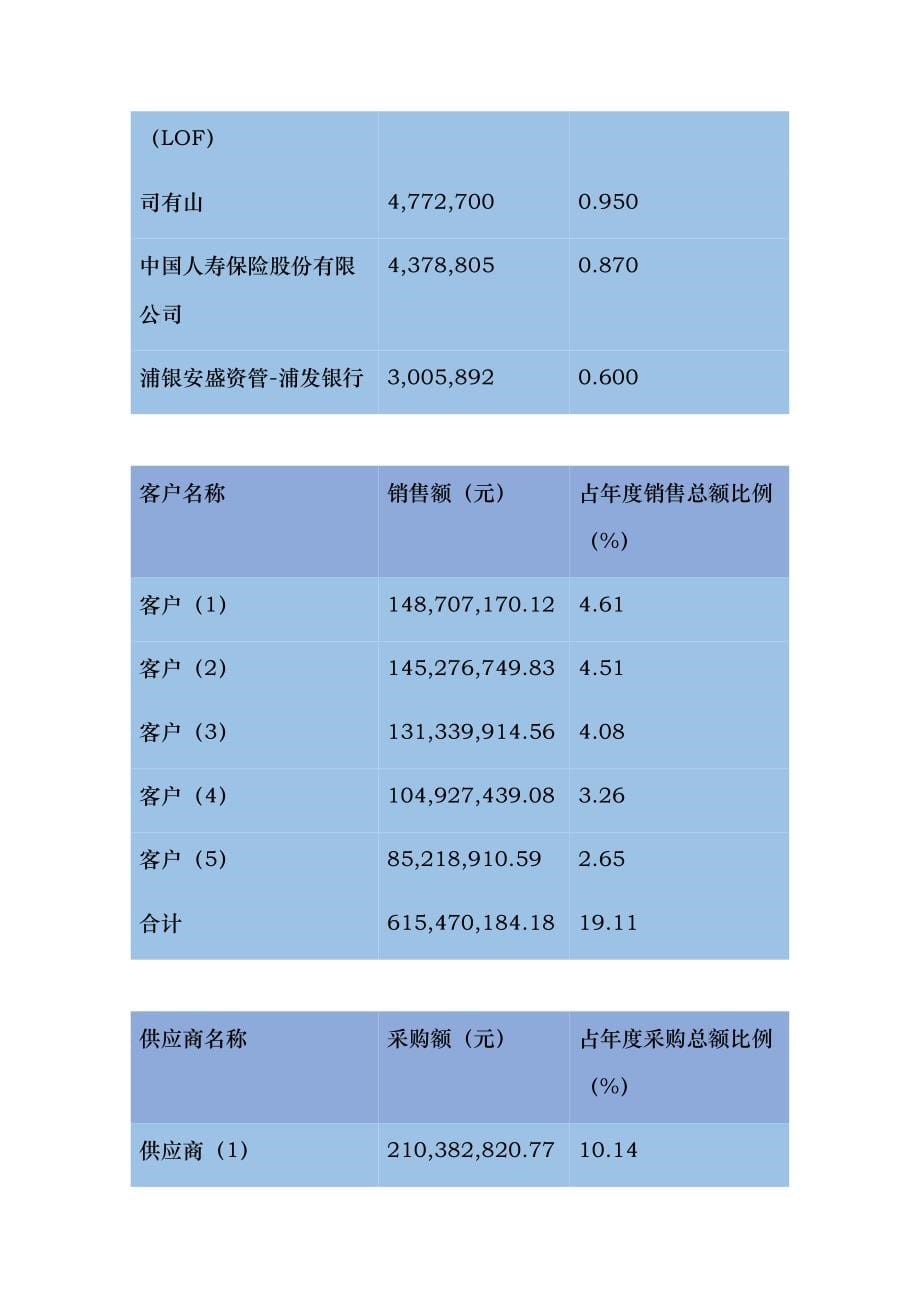 金陵药业财务报表分析_第5页