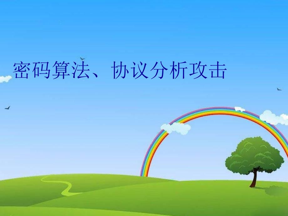 密码算法、协议分析攻击资料_第1页